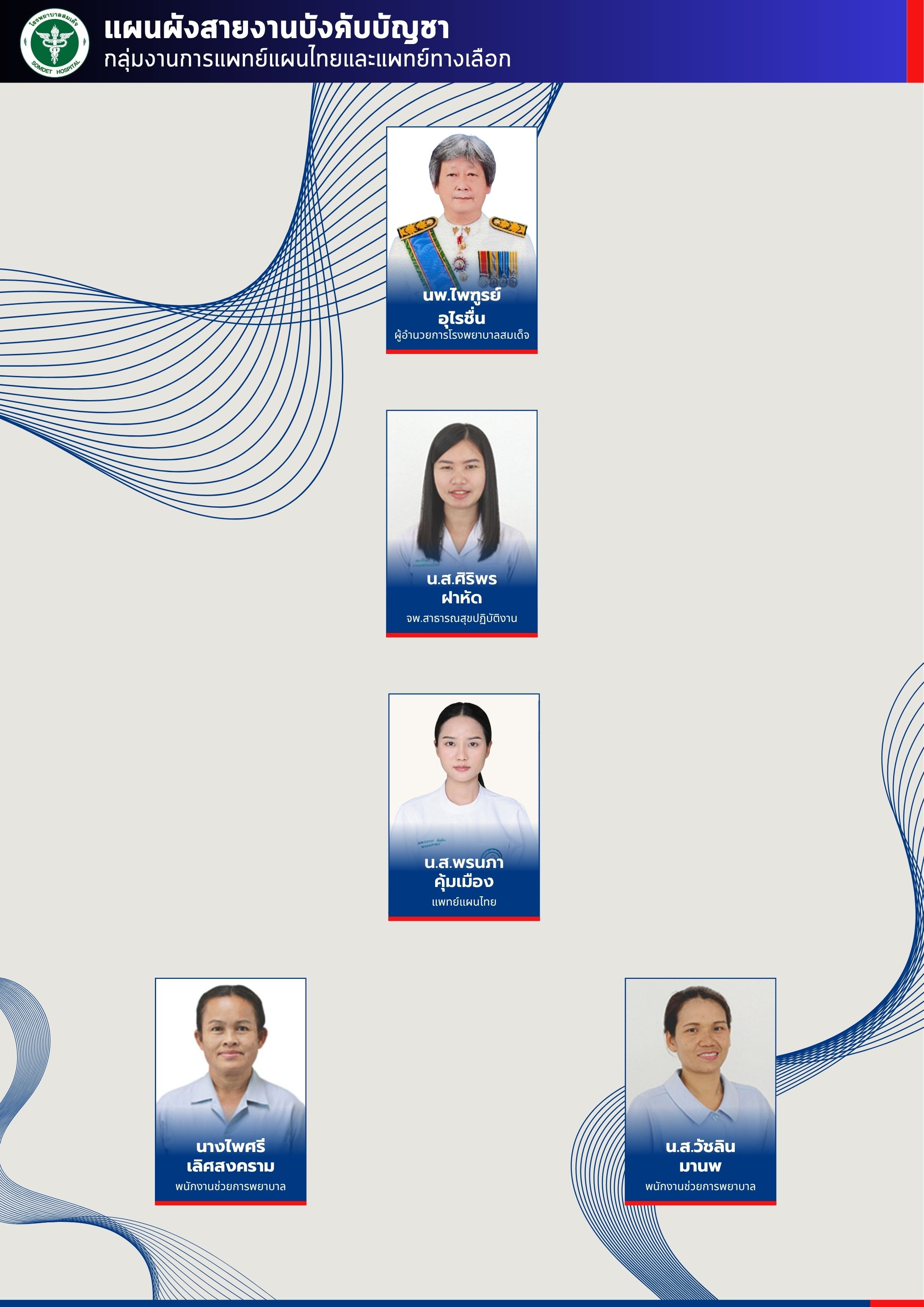 กลุ่มงานการแพทย์แผนไทยและแพทย์ทางเลือก